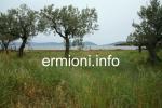 GL 0198 - Coastal Land - Dardiza - Ermioni